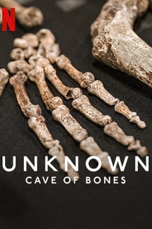 Bilinmeyenler: Kemik Mağarası – Unknown: Cave of Bones izle