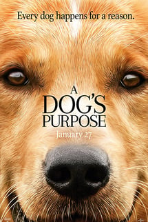 Can Dostum – A Dog’s Purpose izle